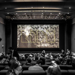 RIDM2014-emilygan-cinema